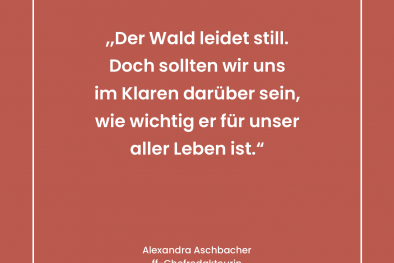 Zitat
