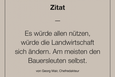 Zitat