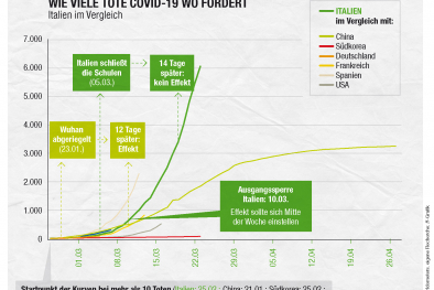 Infografik