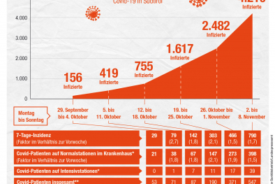 Infografik