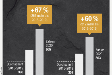Infografik