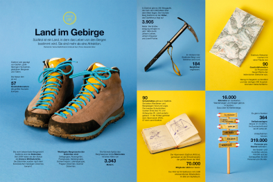 Infografik