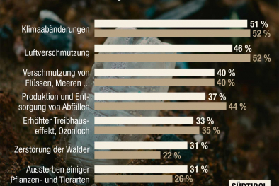 Infografik Umweltsorgen