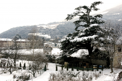 Hofgarten Brixen