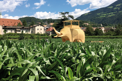Hofburggarten in Brixen