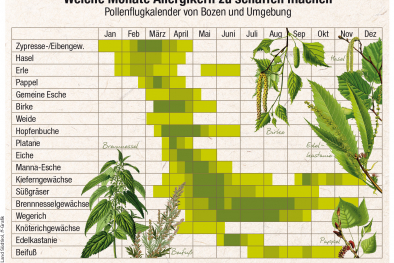 Infografik