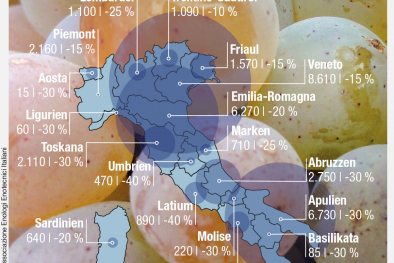 Infografik Traubenernte