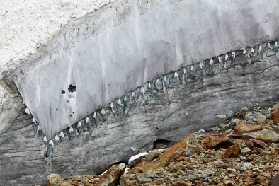 Gletscher werden in den Alpen