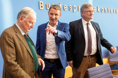 Alexander Gauland, Björn Höcke, Jörg Meuthen