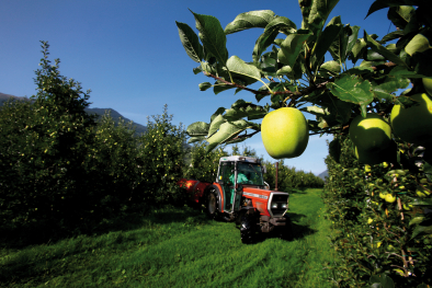 Traktor zwischen Apfelbäumen