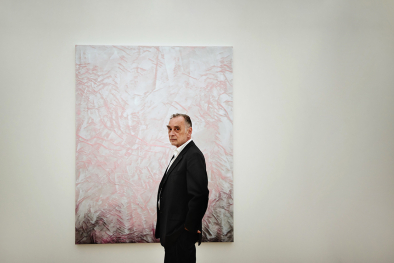 Rudolf Stingel, Künstler