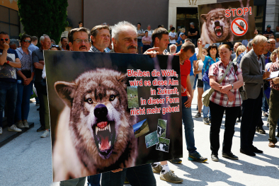 Anti-Wolf-Demo in Bozen