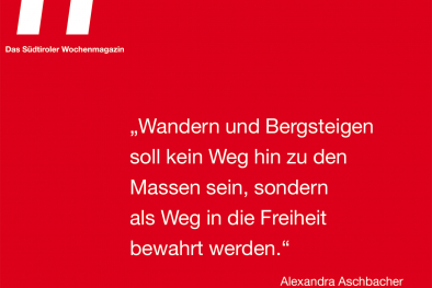 Zitat
