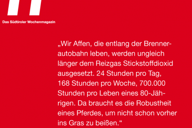 Zitat