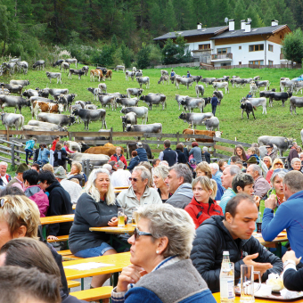 Wiesenfest