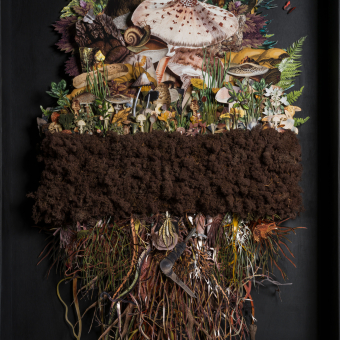 Im Bild: ein Kunstwerk in der derzeitigen Sonderausstellung im Archeoparc zum Thema „Pilze – die
Kulturgeschichte der Pilze von Ötzi bis heute“.