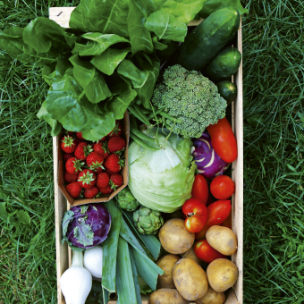 Gemüsekiste Gemüsekiste