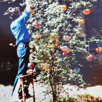 Der Hirnbaum Der Hirnbaum