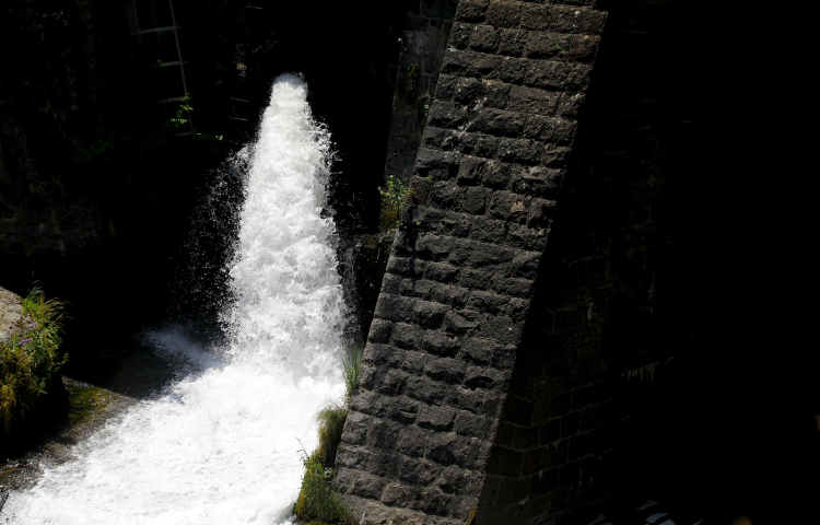 Wasser