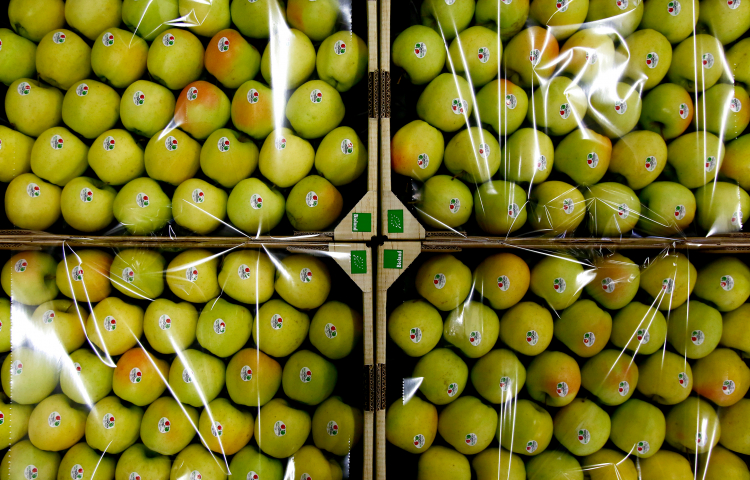 Äpfel