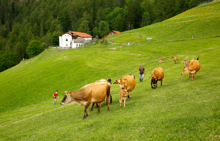 Lechtlhof