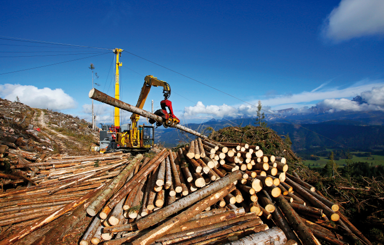 Holzverarbeitung