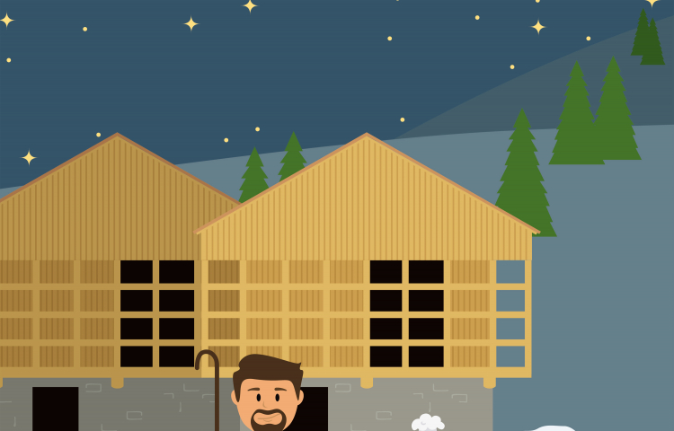Illustration Alfreider und Schafe
