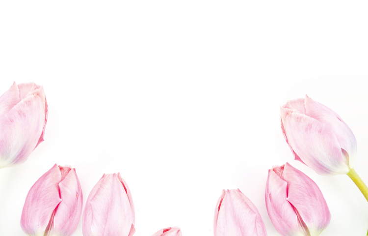 Tulpen